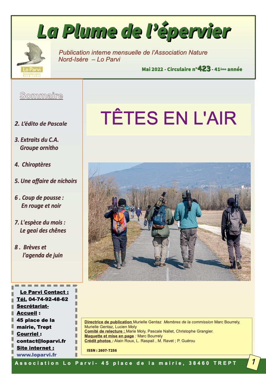 Plume de l’épervier 05/2022