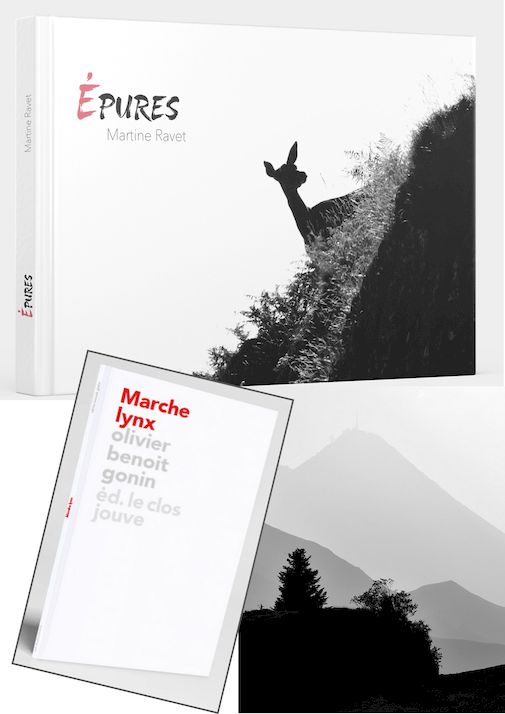 Epures – Marche lynx